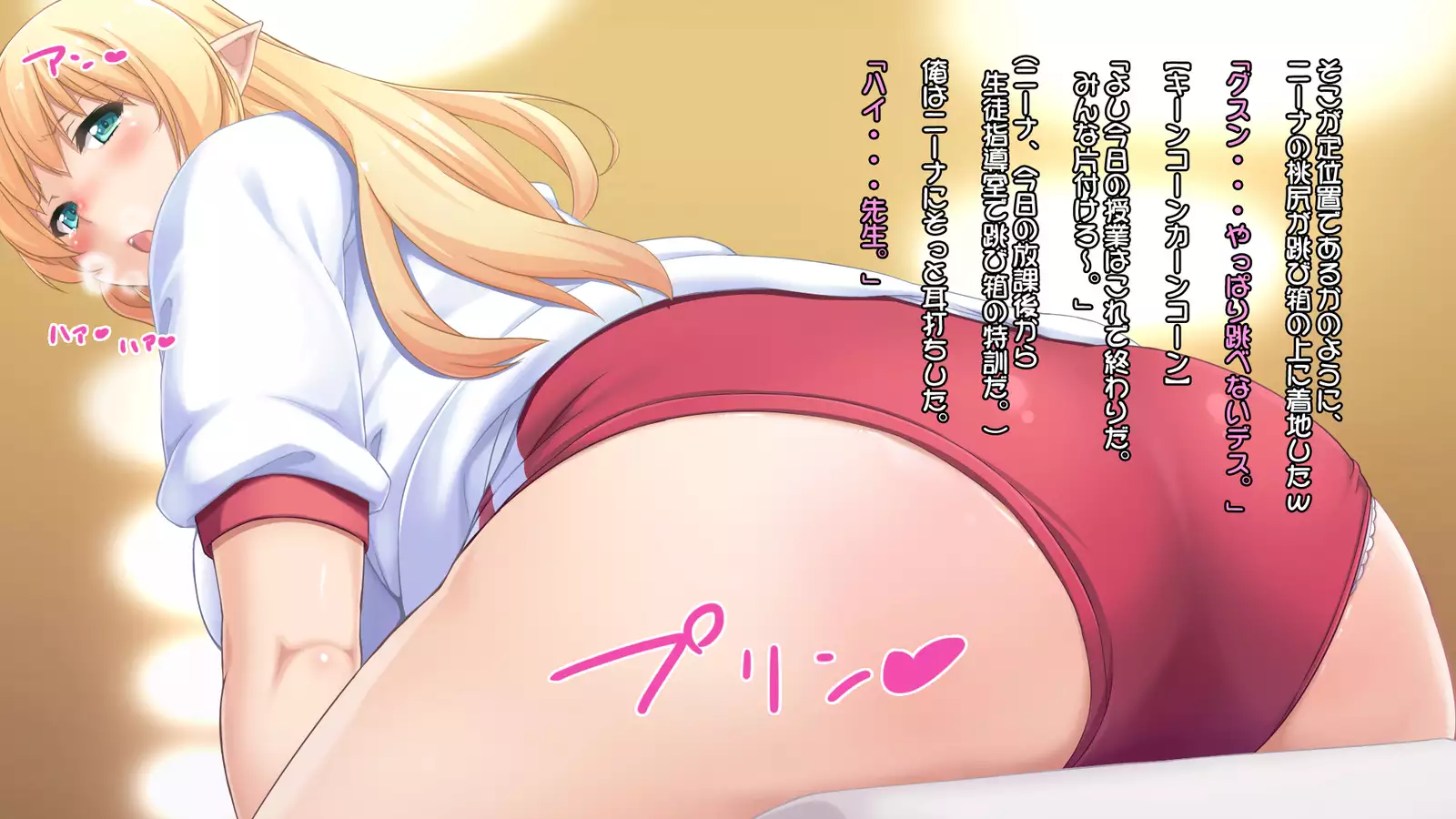 Junshin na Elf no Ryuugakusei ni Anal Choukyo shiyo！