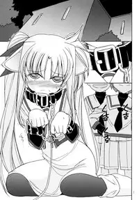 (C83) [EINSATZ GRUPPE (Charlie Nishinaka)] DOG FATE (Mahou Shoujo Lyrical Nanoha)