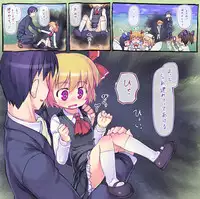 [Kawamura Tenmei (Wizakun)] 東方アンケ4週目(道中） (Touhou Project)