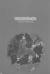 (C72) [Kachusha (Chomes)] Tsubomi no Ana 3