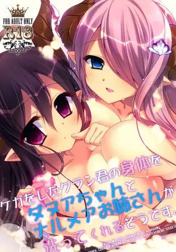 Kega o Shita Gran-kun no Karada o Danua-chan to Narumea Onee-san ga Aratte Kureru Sou desu.