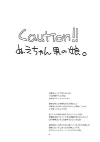 (C77) [pinktips.info (kazuha)] Shoutai Fumei no Otouto-sama (Touhou Project)