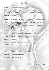 (Mimiket 21) [ C.R's NEST (C.R)] Dakimakura no Tsukaikata Plus!