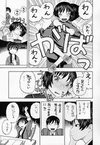 (COMIC1☆6) [Studio Wallaby (Niiruma Kenji)] Hibiki no Gohoubi Play (Amagami)