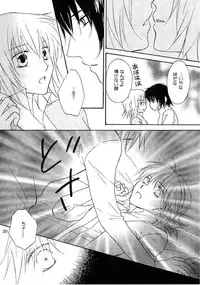 [Berry & Precious] Beautiful Beast (Gundam SEED DESTINY)