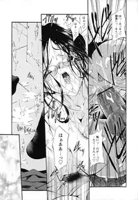 [Noraneko Nagaya] Horoama Omocha Hako