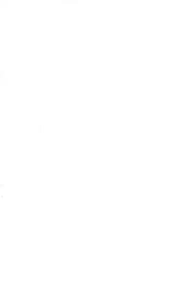 Speed Star Hatsujouchuu