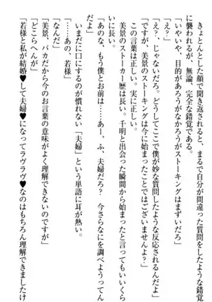 年上メイドの新婚日記