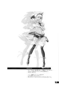 (C78) [Fujiya Honten (Thomas)] Hunter's Bible (Monster Hunter) [English] [FUKE]