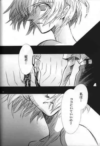 <Shinyaku> neon genesis document G