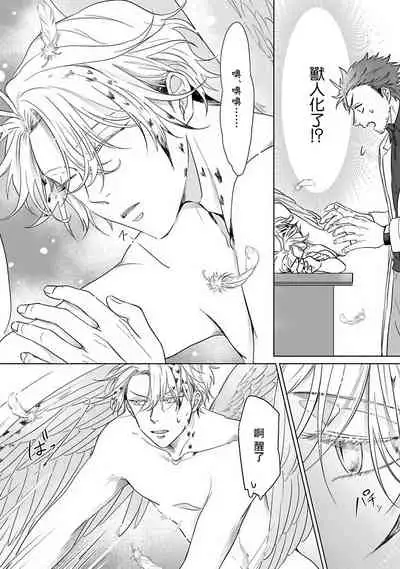 Fukurou no Koiwazurai | 猫头鹰的相思病