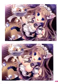 [Yukie] MOEOH Selection Flower Flower Yukie Gashuu