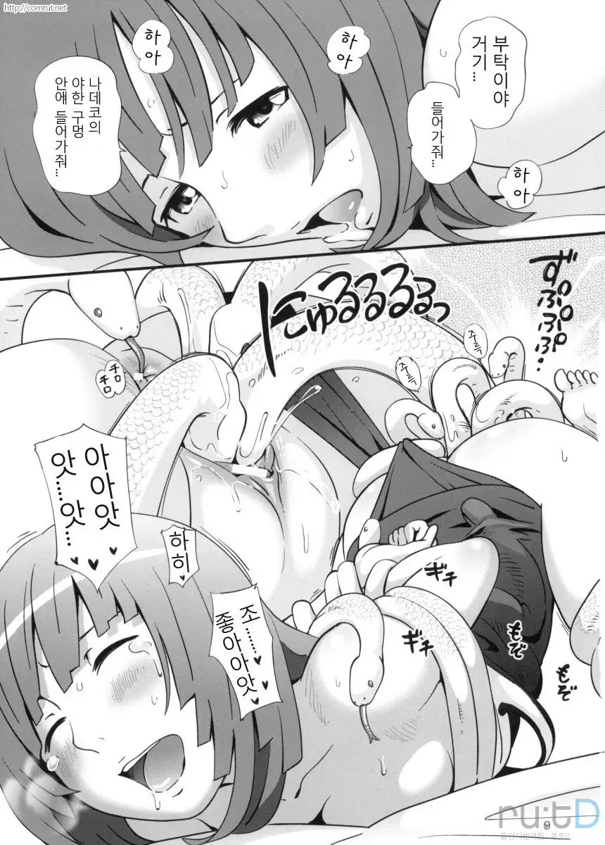 Nadeko Kanshoukai | 나데코 관상회