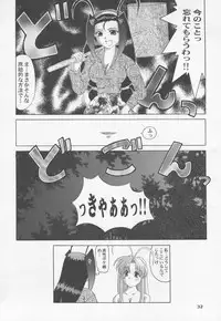 [Tenzan Factory (Tenchumaru)] Shao ni Omakase!! (Mamotte Shugogetten!)