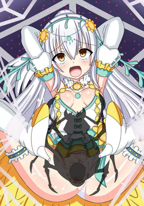 "Hanazono no Seiya" Shirotaegiku