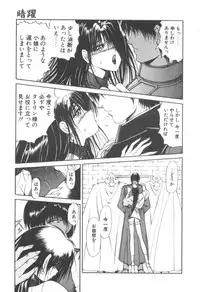 [Fujisaki Makoto] Dark Wirbel Konran-hen