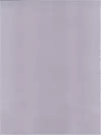 (C56) [Kenro Koubo (Orimoto Mimana)] MisaOnly 2 (Pretty Sammy)