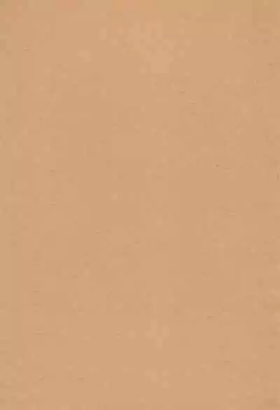 Alice no Inuchikku Randoseru