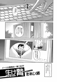 BUSTER COMIC 2008-11