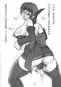 (C62) [Motsu Ryouri (Motsu)] Hanabi (Dead or Alive)