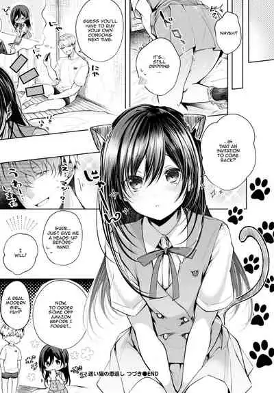 Mayoineko no Ongaeshi Tsuzuki | Lost Kitten's Repayment