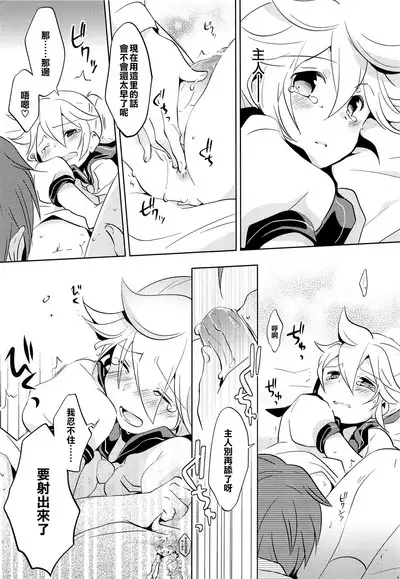 Onegai Master | 拜托了,主人