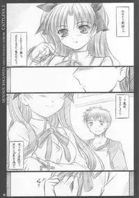 (C67) [Yakan Hikou (Inoue Tommy)] CATTLEYA 3 (Fate/stay night)