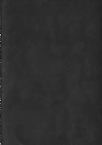 (C77) [IncluDe (Foolest)] ErAseRmoToR maXimUM (Touhou Project)