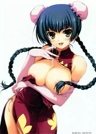 Tomose Shunsaku Jisen Illust Shuu