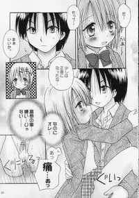 (C68) [Penguin San (Shinosaki Ariko)] CAPTIVE 2+