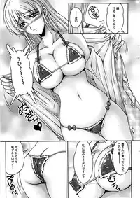 Action Pizazz SP 2008-09