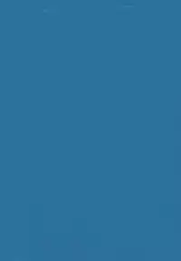 [L.Lime] Tamonzen Zigoku Rounin