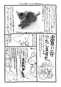 (C66) [LUNATIC WINGS (Shizaki Masayuki)] G-pretee cure (Futari wa Precure)