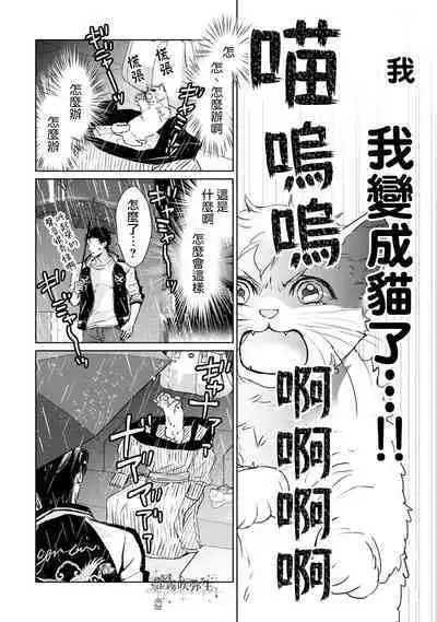 [霧吹弥生漢化组][三角ペンチ]可怕的臭臉君對貓很癡迷