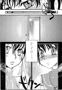 (C68) [Sarurururu (Doru Riheko)] Holic 5 Doors (Street Fighter)