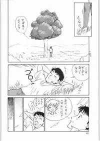 [WORKS-MARUMA (various)] ENAMEL