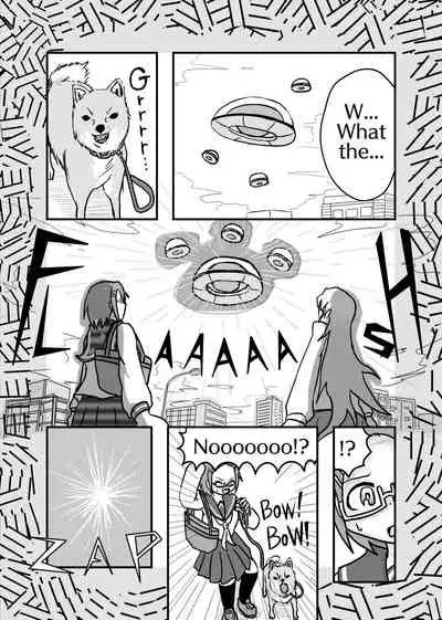 [Hendon-Ya (Various)] Henka-kei-bo TF Account book [English]