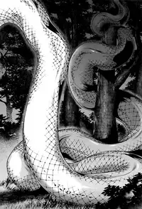 [Jyoka] Hachishaku Hachiwa Keraku Meguri - Igyou Kaikitan [English] [Mongolfier]