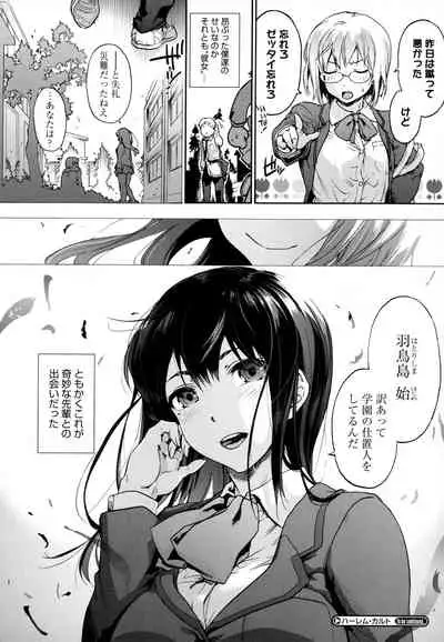 Harem Cult side HAREM