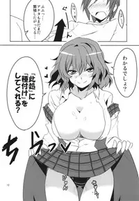 (Reitaisai 10) [BlueMage (Aoi Manabu)] Kodanezukuri Shimasho (Touhou Project)