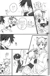 Peach Drop- Arco Iris