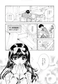 [Shimao Kazu] Flower