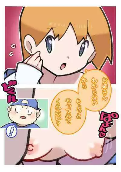 Seishain Onee-san 4 ~Nikushokujoshi to Yonin no Doutei