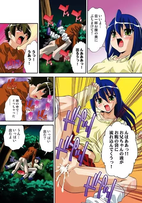 Itsuka Imouto o Okashisou na Ore no Nikuyoku