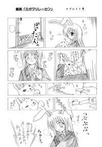 (C70) [Mirabilien Fabrik (Various)] Shoujo Yousai Rengashuu Touhou Inreika (Touhou Project)