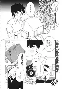 Colorful Bee 1999-07