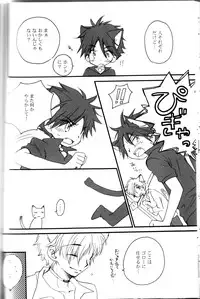 Peach Drop- Arco Iris