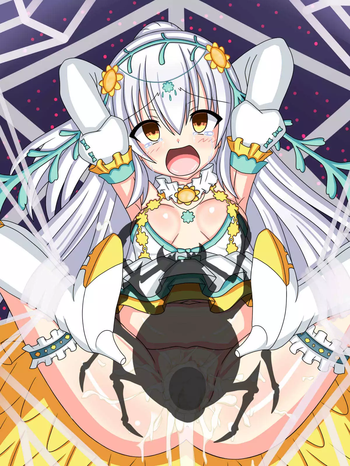 "Hanazono no Seiya" Shirotaegiku