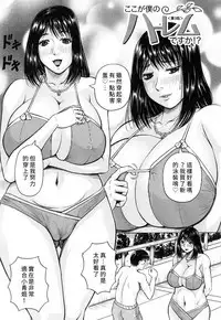 Boku Gentei Bakunyuu Harem