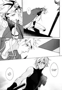 (C80) [kiki (Fujiwara Beni)] ambivalenz | Ambivalence (Dissidia Final Fantasy) [English]